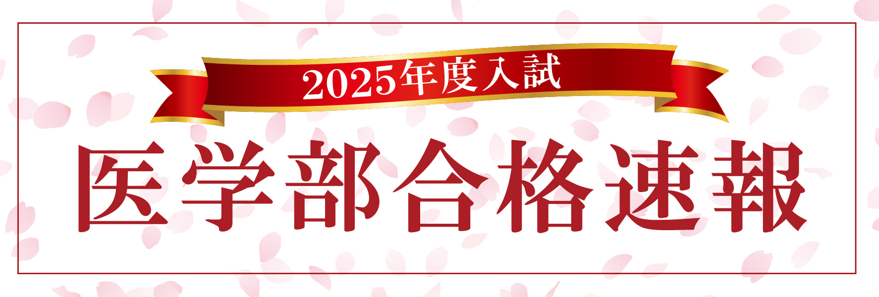 2024年度　合格実績