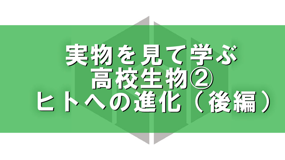 実物を見て学ぶ高校生物②ヒトへの進化(後編)