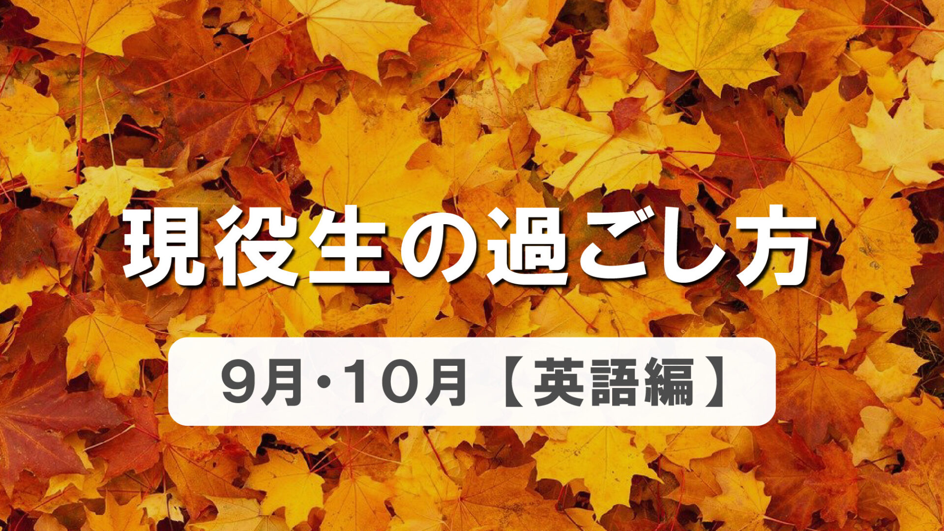 現役生の過ごし方9月・10月編 英語