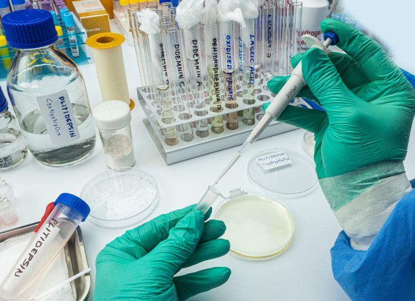 医学部 研究費 ランキング