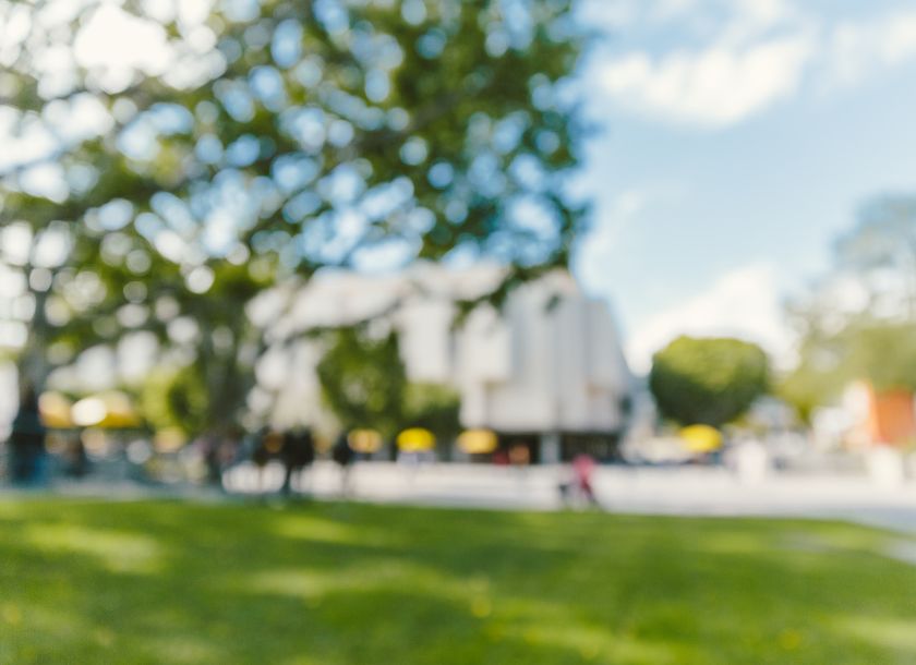 大阪 医学部 ランキング